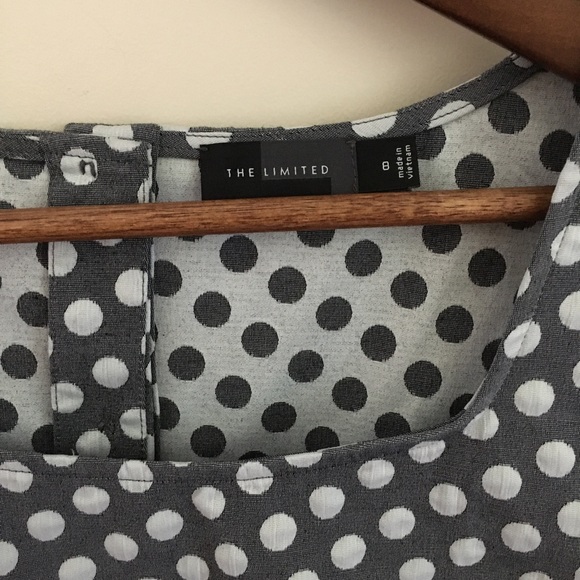 The Limited Polka Dot A-Line Dress, Sz 8 - Picture 5 of 6